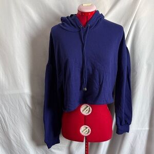 Wild Fable Blue Cropped Hoodie